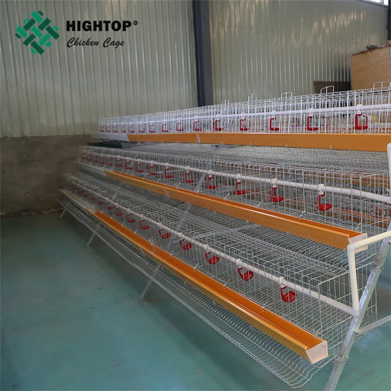 Affordable a Type Hens Coops 4 Tiers Layer Chicken Cages for Commercial Poultry Farm