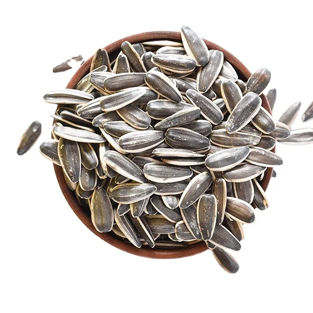 2023 новый урожай внутренней Монголии семена китайского 361 подсолнечника для оптовой продажи