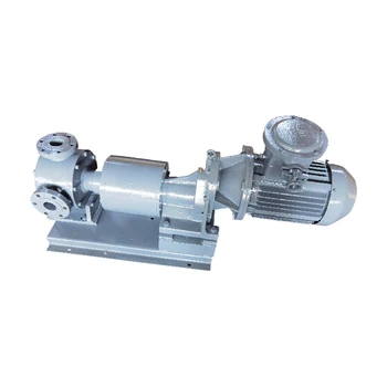 NYP-10 Stainless Steel High Viscosity Gear Pump Magnetic Paint Coating Material Pump for Oil Transfer