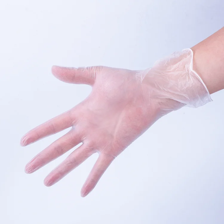 Guaranteed quality proper price disposable clear food prep vinyl gloves latex free powder free