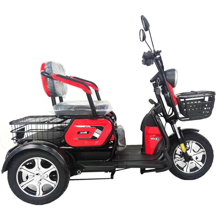  48V 500W 3-wheels Electric Tricycle with Passenger Seat and Cargo