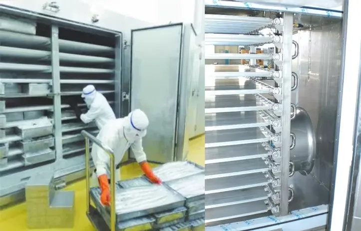 Industrial large tunnel/spiral freezers for meat processing and slaughterhouses