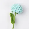 สาขาเบญจมาศ pingpong-สีฟ้าอ่อน