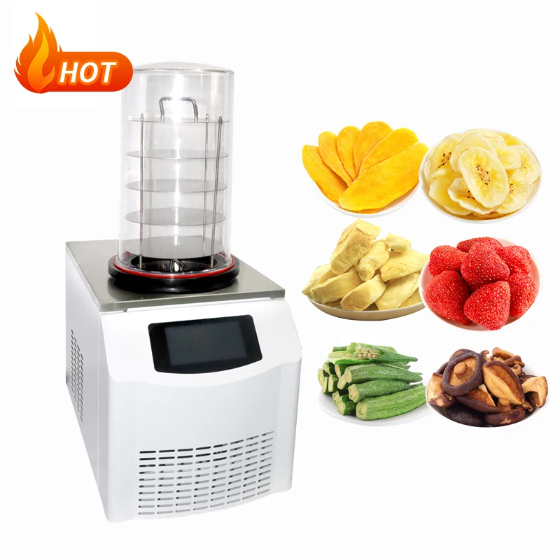 Lab Flash Freeze Drying Equipment Home Use Food Freeze Dryer with