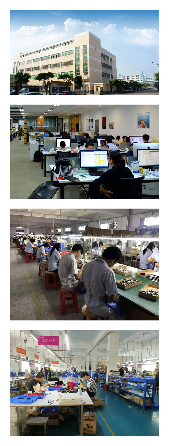 Shenzhen Joyish Technology Co., Ltd.