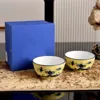 Yellow 2-pcs set 4.5in bowl
