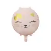 Pink cat