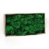 Verde-5 stile