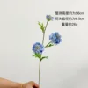 fiore selvatico [blu]