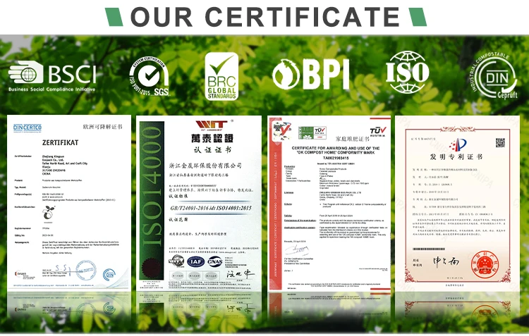Customized Two-Compartment Bagasse Plates Friendly Food Divided Plates Party Supplies 100% Compostable Sugarcane Plates