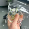 manzana flor