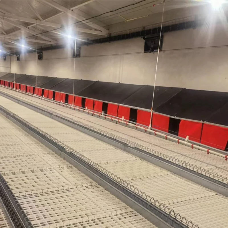 Poultry Nesting Box Automatic Collector Egg Nest Chicken Farm Laying Eggs Roll Away Hens Coop Machine