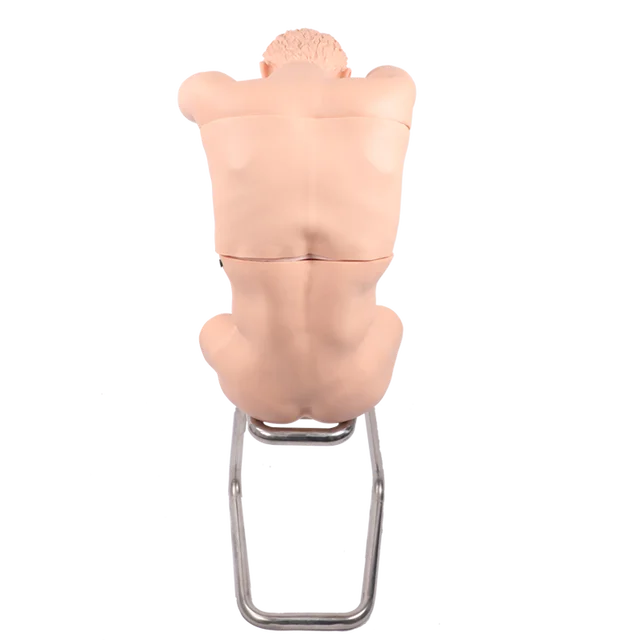 DARHMMY PVC Thoracic (Back) Puncture Training Model Medical Science Thoracentesis Training Manikin