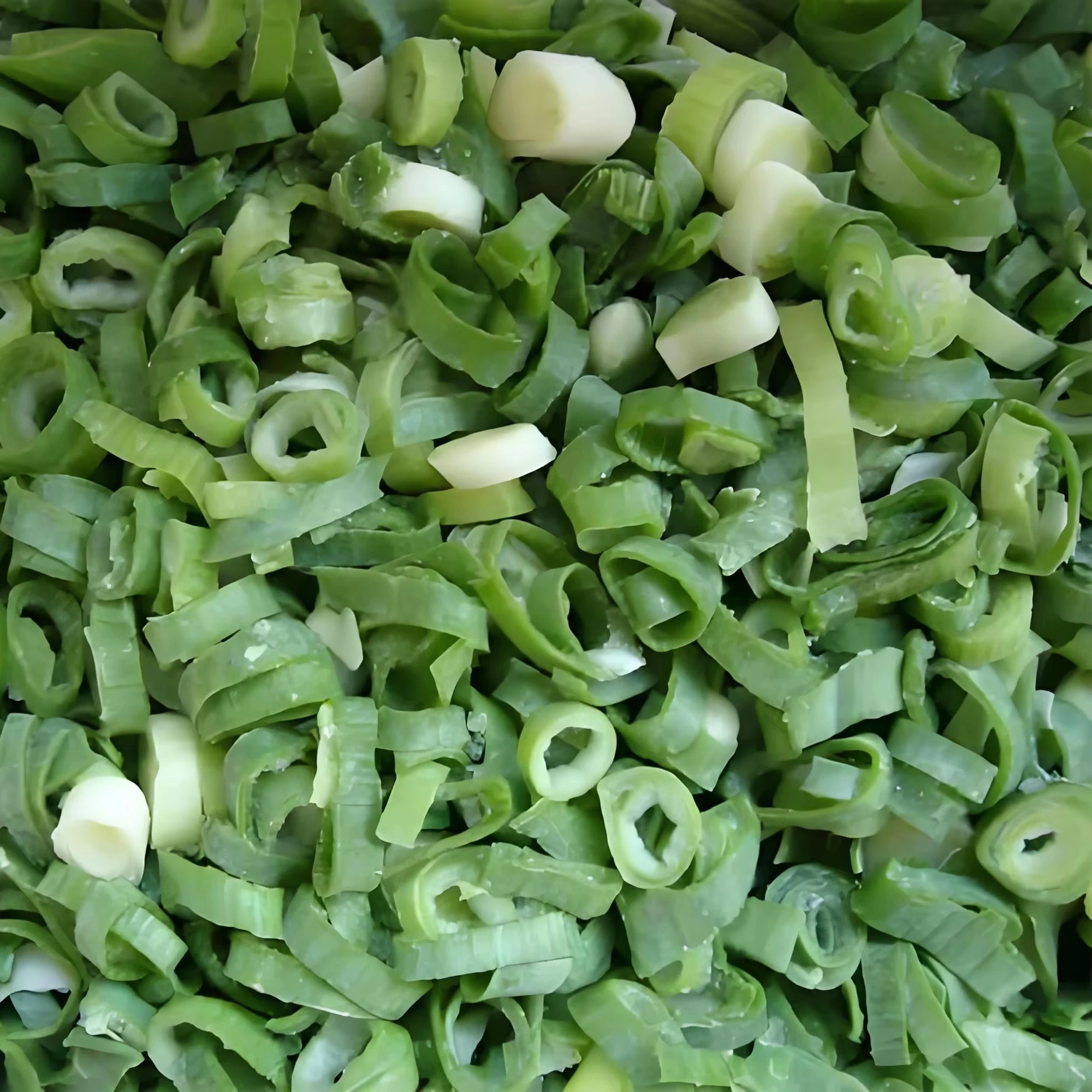 Wholesale IQF Spring Onion Frozen Spring Onion Fresh Spring Onion Frozen Vegetables