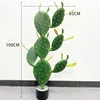 100cm