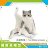 PL127-2824 Lift foot Chat Gris 93g