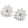 E8043_Silver