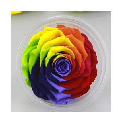Amazon Wholesale Rainbow Color Preserved Rose Head Eternelle In Box - Buy  Rainbow Color Rose Head,Rose Eternelle,Preserved Rose Head Product on  Alibaba.com