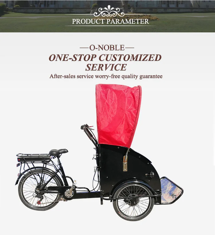Cargo Bike,Adult Tricycle,Custom Bikes 