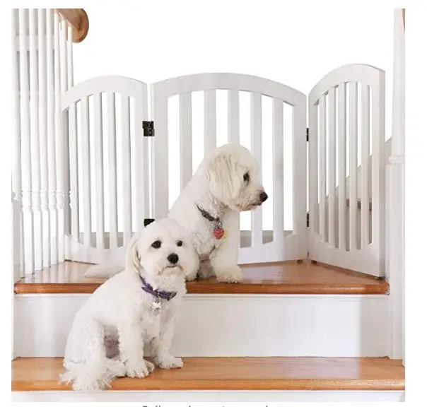 custom dog fence