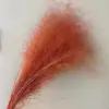 Arancione