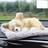 ชิวาวา