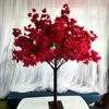 Rosa rossa 01