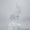 300300620