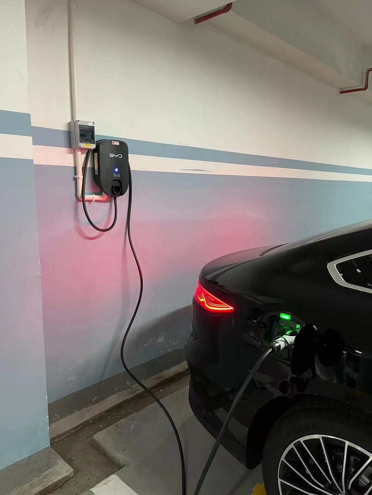 Hot Sale Byd 7kw Charger Wall-mounted Charging Stations 7kw Ev Charger ...