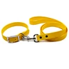 Sunflower yellow