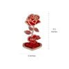 9.5*5 inch