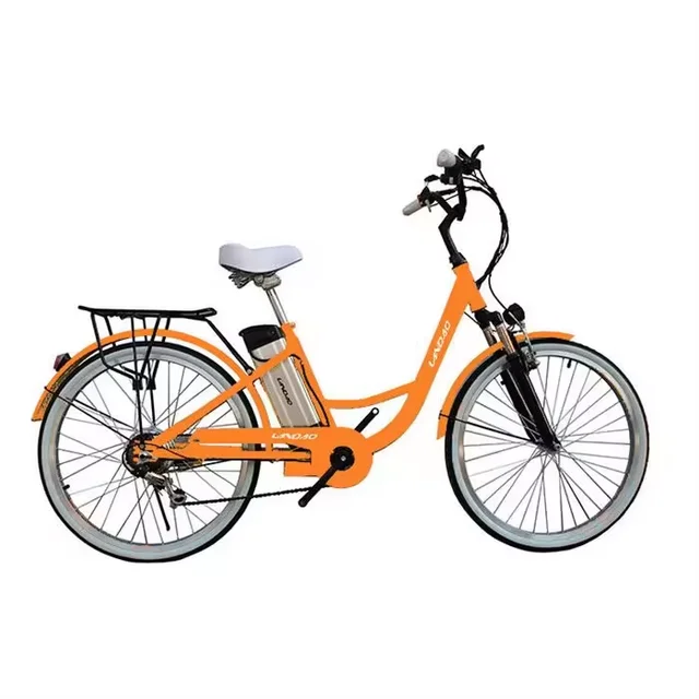 mountain bike 1000w 26 inch electric bicycle lithium battery 750w electric bicycle 1000w electric bicycle