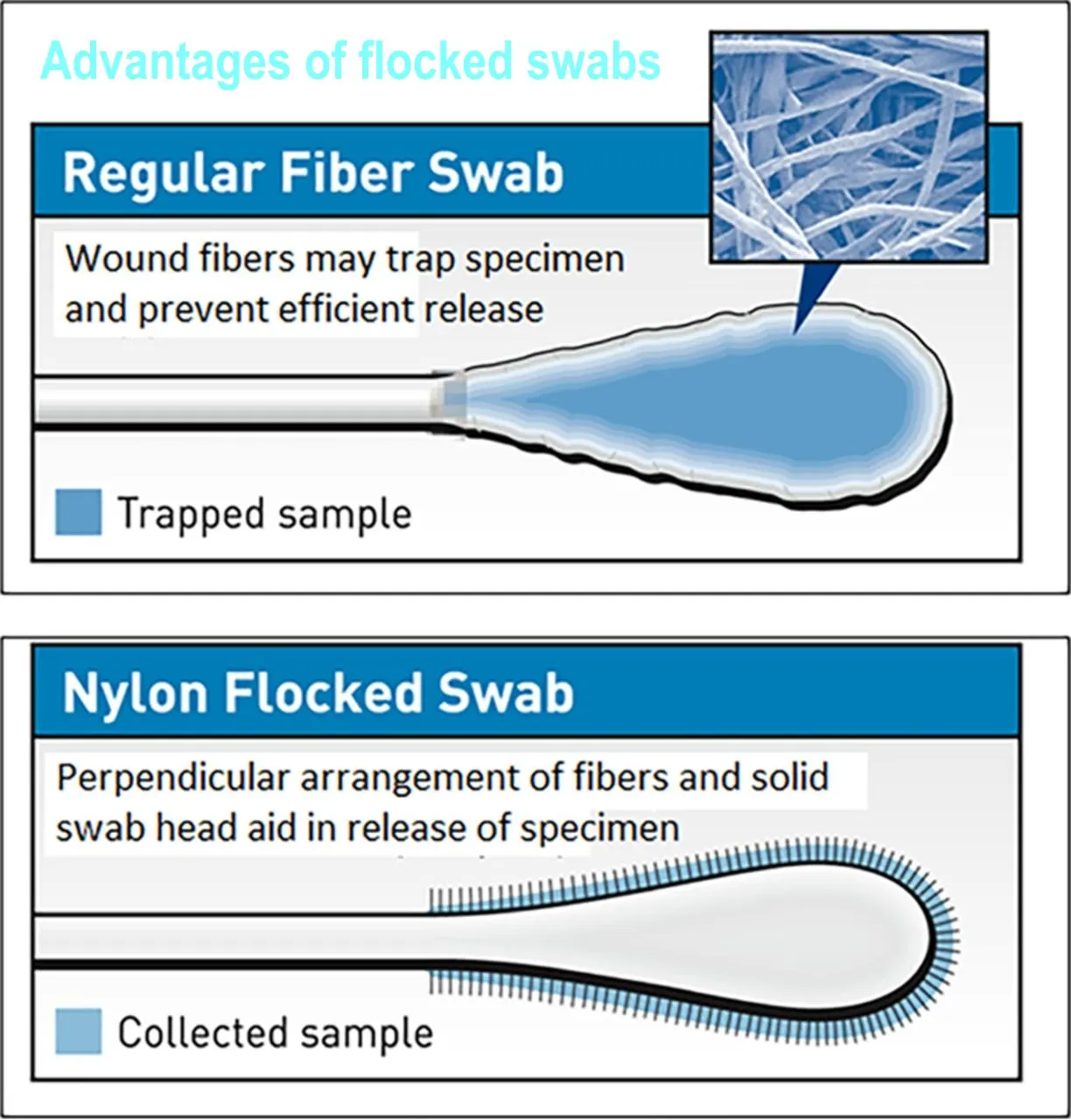 Medical Nasal Flocked Sampling Swab With Breakpoint Sterile Disposable Specimen Collection Nasopharyngeal Swabs factory