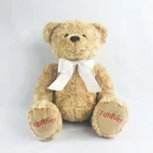 Bear Stuffed Animals Bears Customized Embroider Logo Soft Plush Bear Stuffed Animal Rose Teddy Bear With Zippers