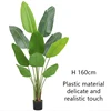 green Type B 160cm