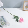 Rose et blanc