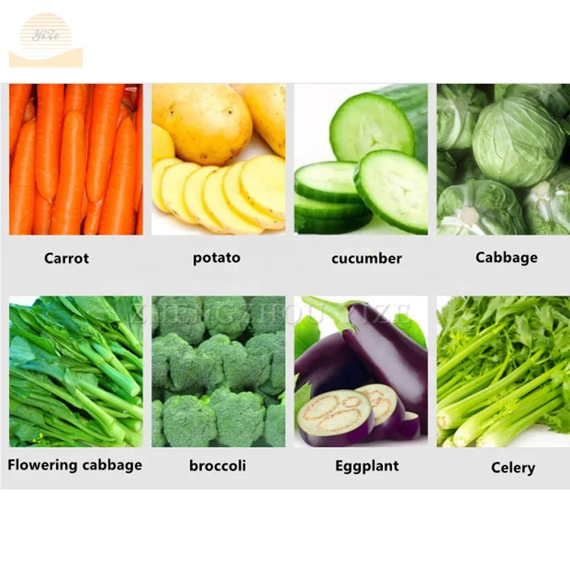 9 in 1 multifunctional automatic vegetable carrot cube dicer cutter slicer ginger cutting machine