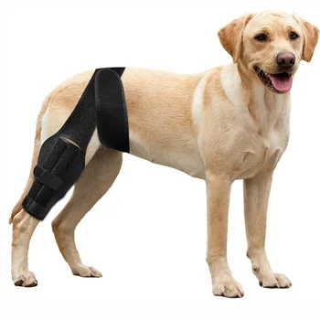 Pet Dog Joint Protective Gear Auxiliary Rehabilitation Belt Knee Leg Warranty Tear Injury Dislocation Stock Christmas Holiday