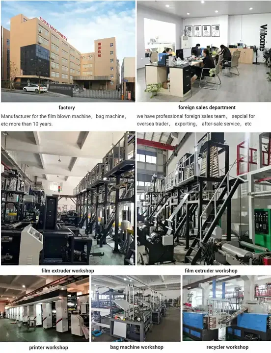 Ruiplas Semi Automatic Computer Control Disposable PE HDPE LDPE Plastic Glove Making Machine
