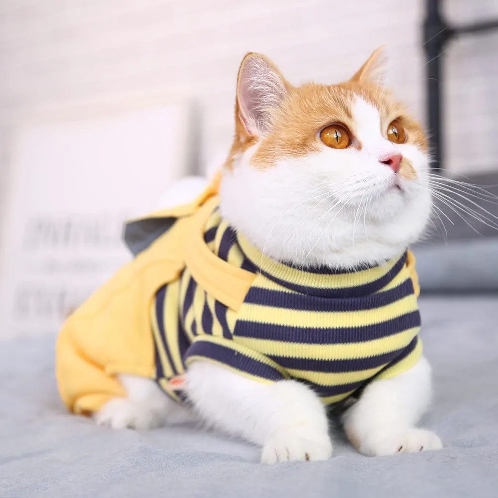 Autumn Winter Warm Cute Dog Cloth Pet Clothes Clothing Cats Clothes Online  Pakistan Kawaii Pet Clothes Cats - Buy Pet Clothes Cats,Cats Clothes Online