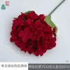 Hortensia búlgara individual XQ roja