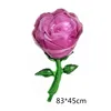 1-rose