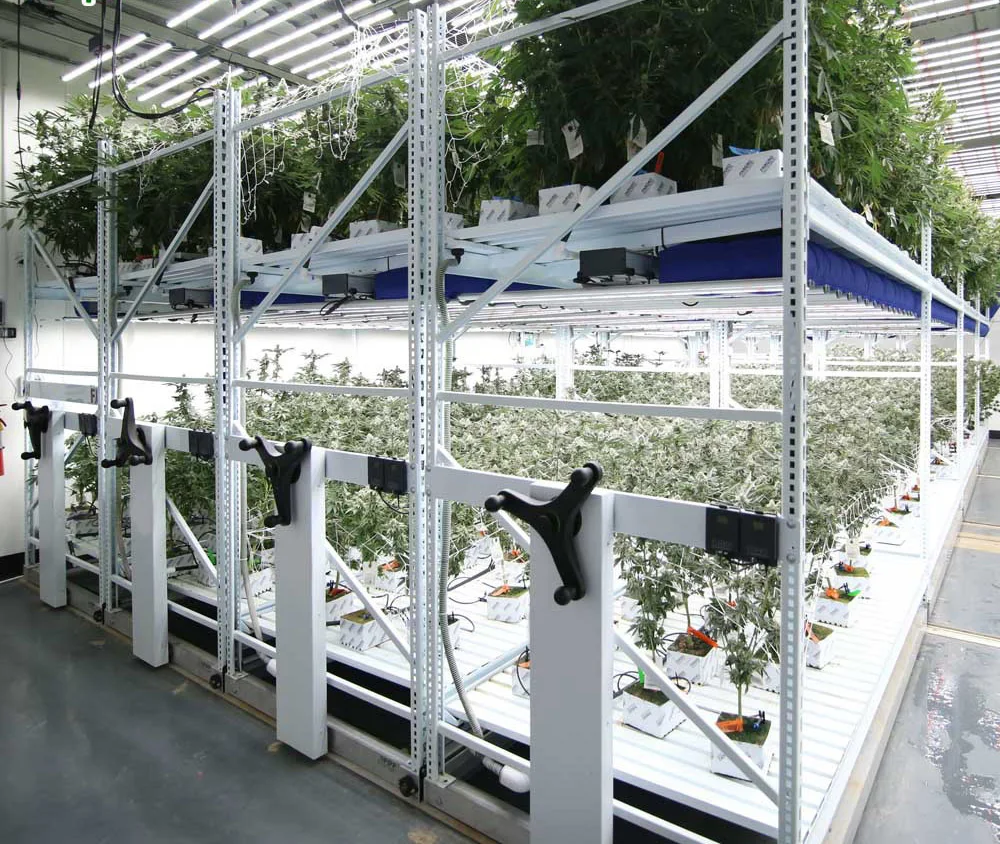Agricultural Greenhouse Hydroponic System 4*8 Ebb Flow Rolling Bench Flood Multi-Layered Seedbed with Aluminum Alloy Frame Large