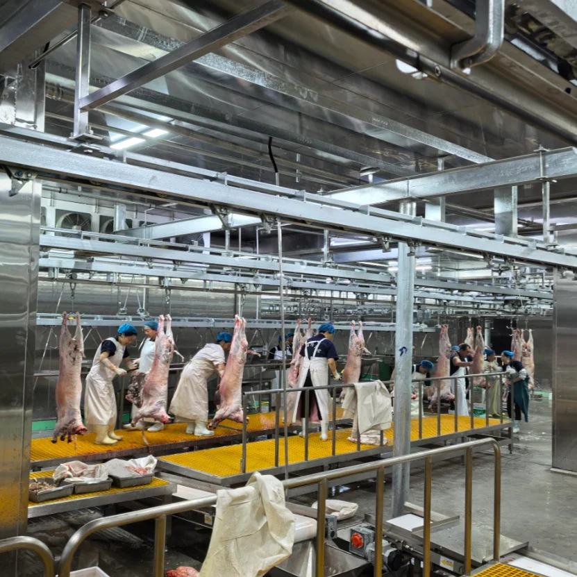 Automatic Halal Sheep Slaughter Line Complete Sheep Slaughterhouse Abattoir Equipment Turnkey Project