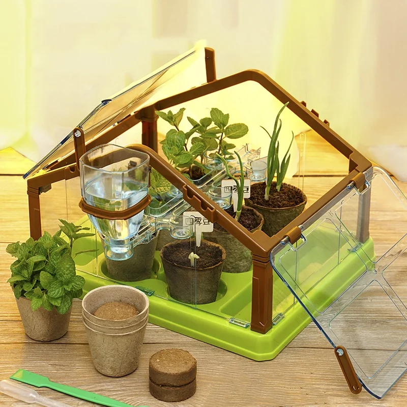 Kruterpflanzen-Anzuchtset DIY Natrliches Bonsai-Garten-Starterkit  Indoor-Gartenprodukte fr Kinder