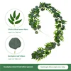 Eucalipto da 2 metri misto a verde chiaro a 5 foglie