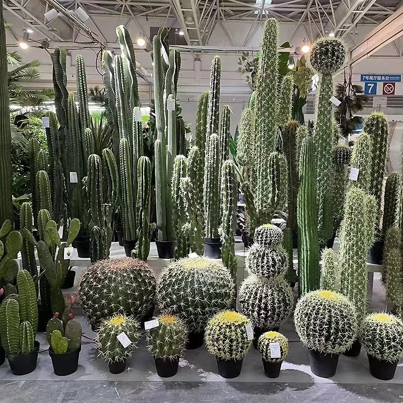 Manufacturers Wholesale Large Green Plant Floor Ornaments,Window Potted Desert Pu Cactus Buy