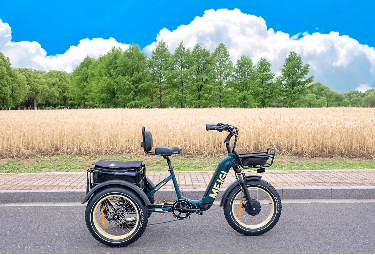 40km/h Electric Tricycle Electric Tricycle With Backrest Seat 3 Wheel ...