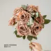 Coffee-colored cappuccino rose