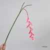 Rose foncé
